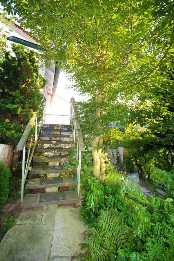 Ferienwohnung 帕绍 外观 照片